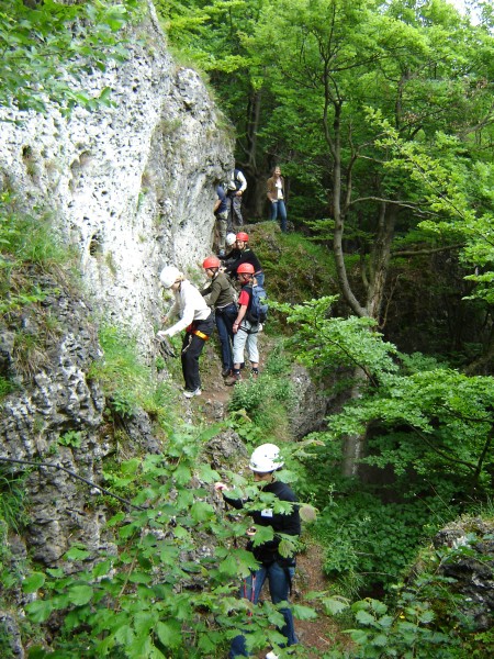 Zum Bild in Originalgr��e hier klicken...