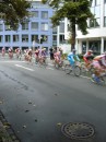 DSC00162 * 15319 * 1728 x 2304 * (2.83MB)