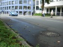 DSC00168 * 2304 x 1728 * (1.77MB)