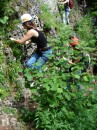 DSC02172 * 1728 x 2304 * (1.77MB)